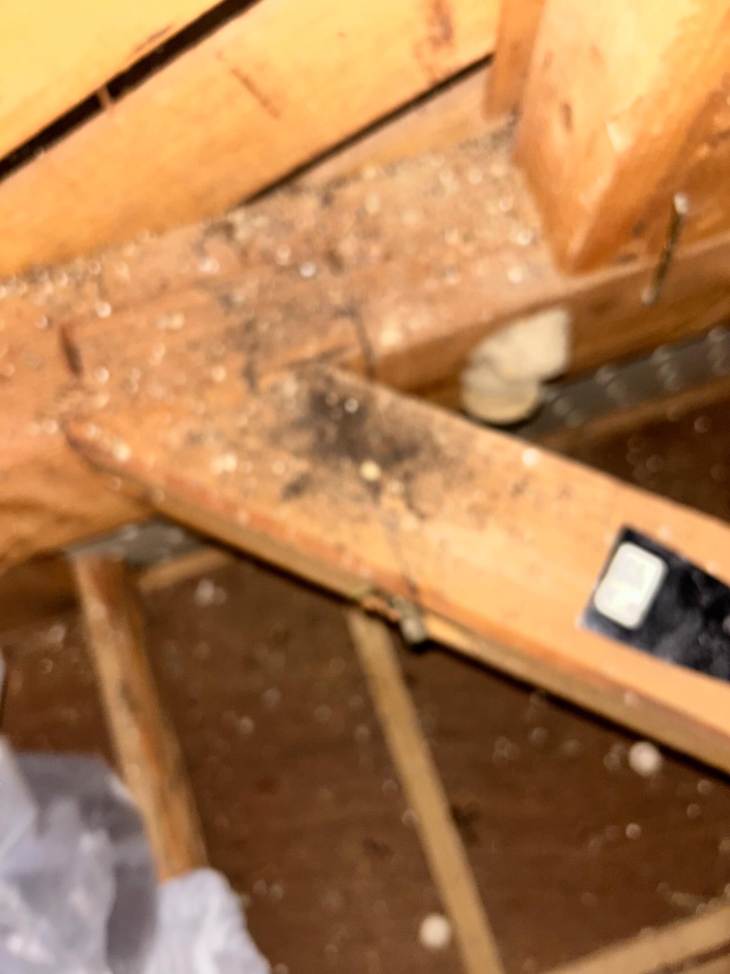 お住まいの快適さと安全を守るために、確かな害虫駆除サービスを
