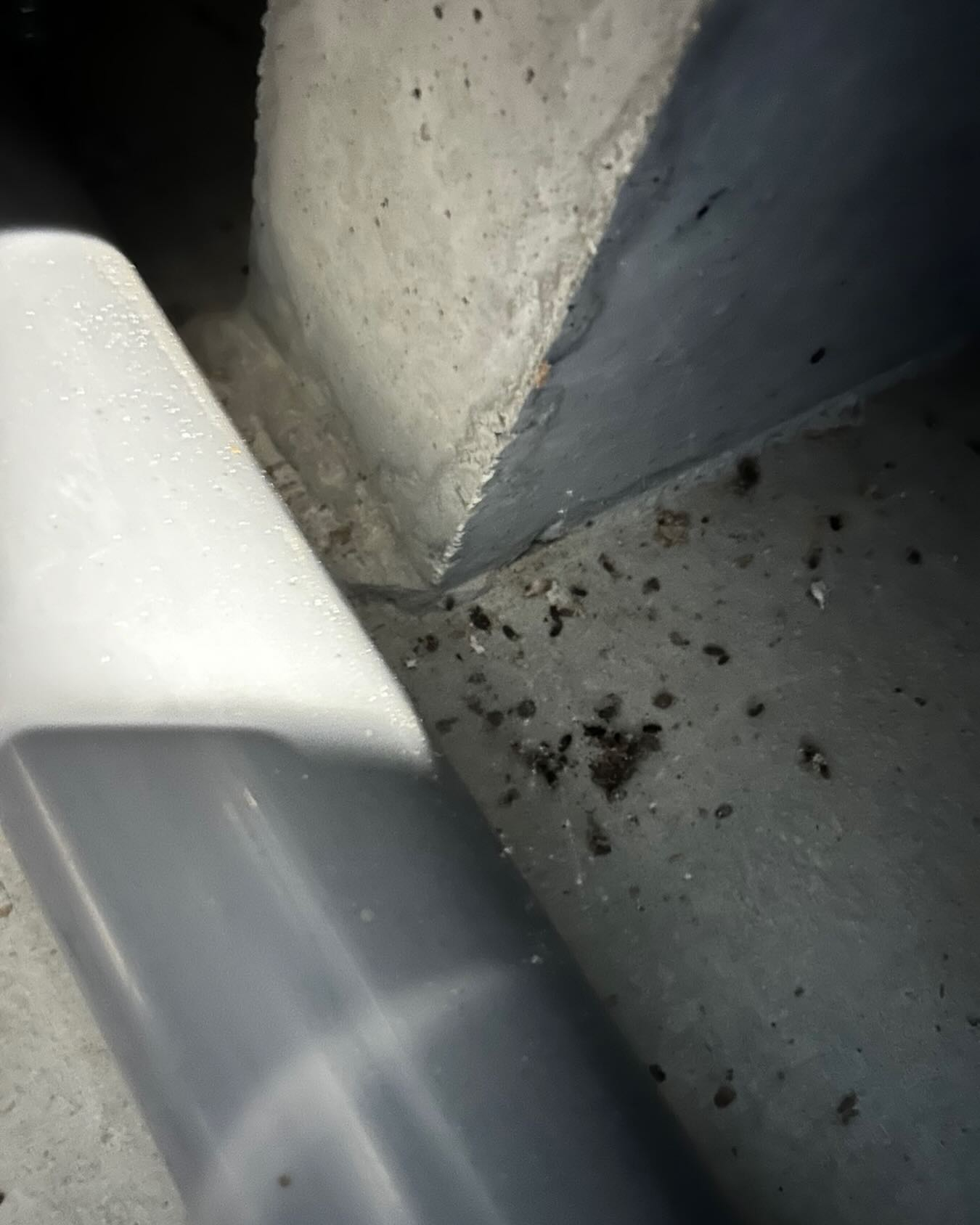 アパートやマンション、戸建住宅に住んでいると、さまざまな害獣