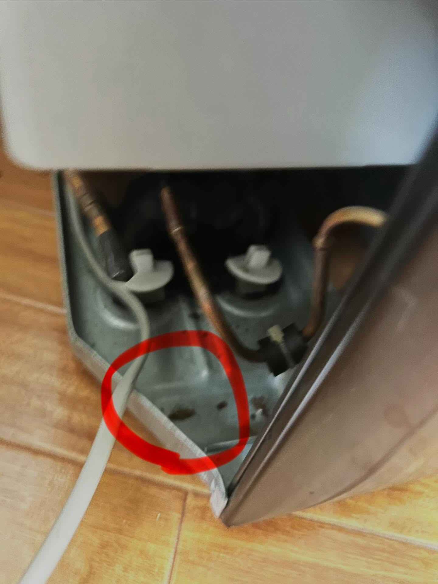 福岡を拠点に、信頼の害虫・害獣駆除サービスを提供しております