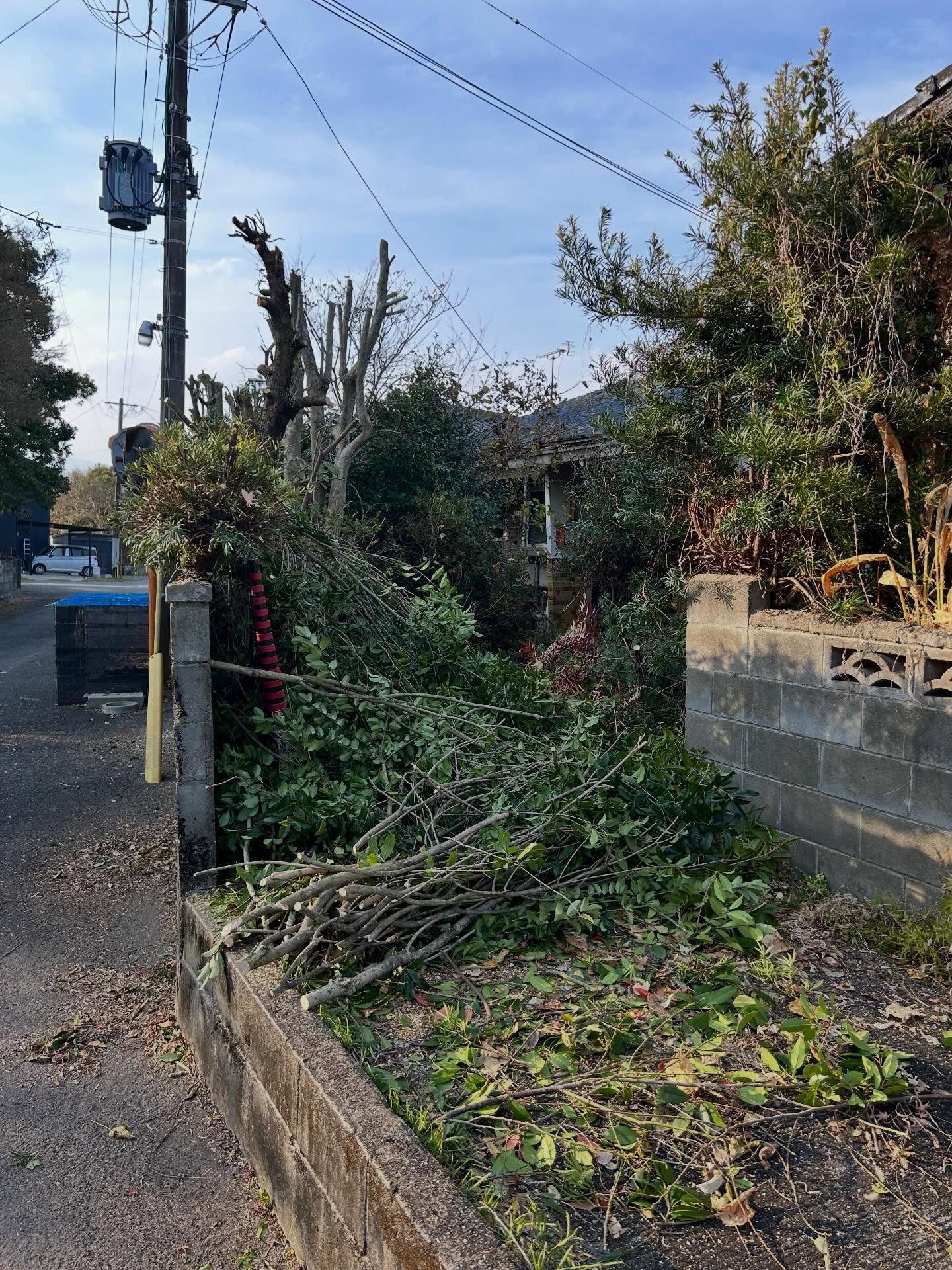 最近では、空き家の増加に伴い、管理が行き届かなくなっている物