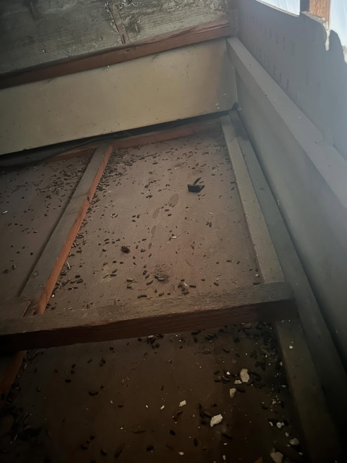 衛生環境のお悩み、解決します