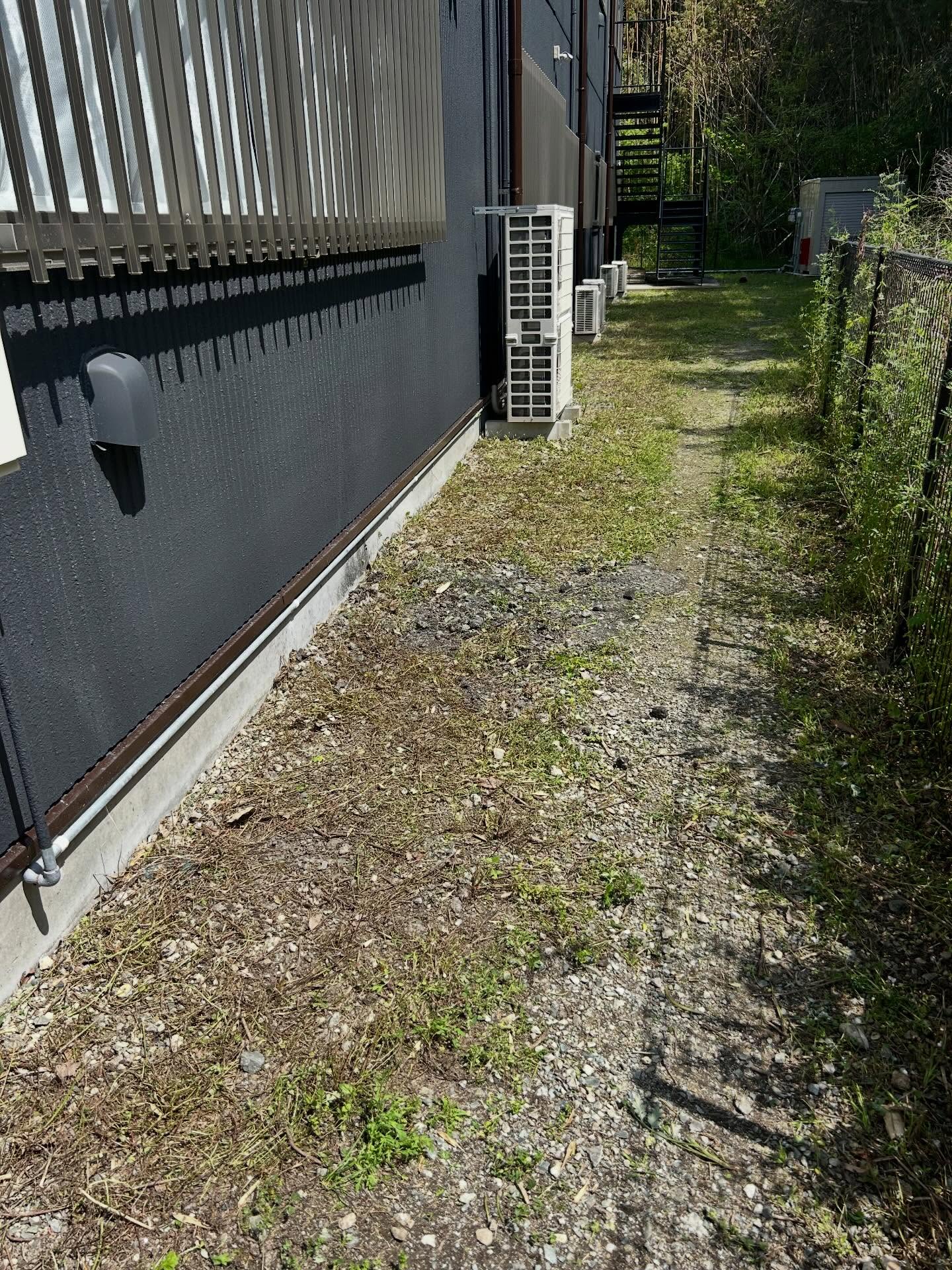 あなたの暮らしを快適に！福岡県で信頼の害虫・害獣駆除サービス