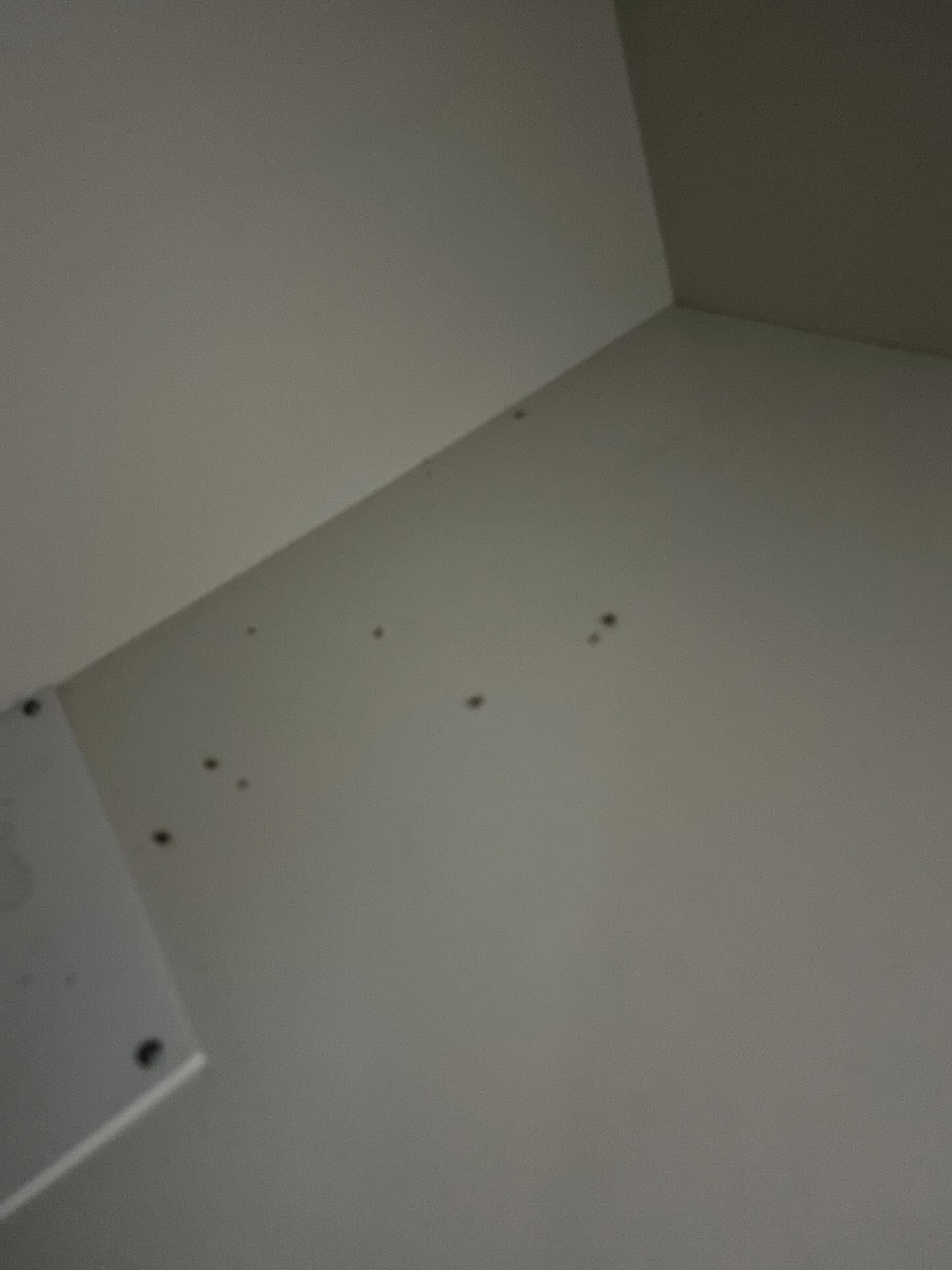 こんにちは、福岡市で信頼と実績を誇る害虫・害獣駆除サービスの