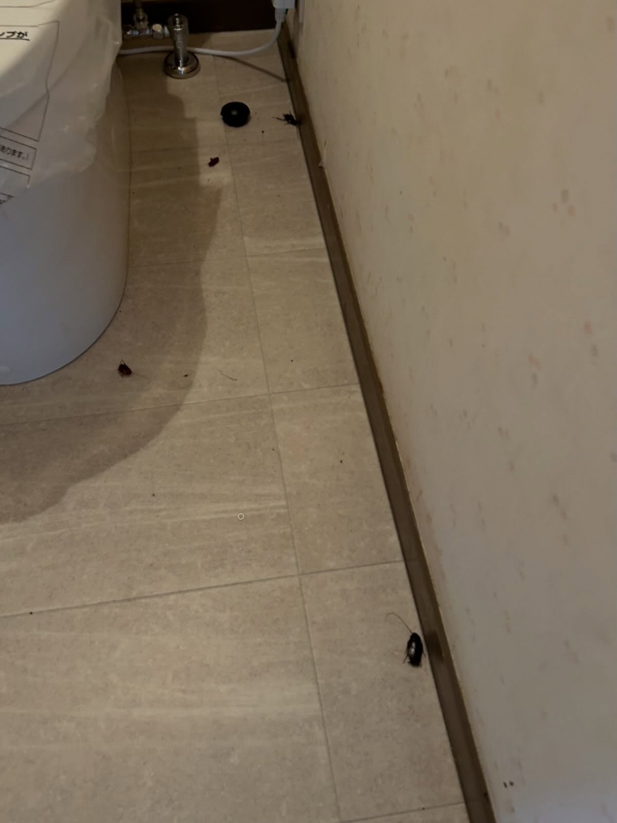 あなたの快適な生活空間を守るために、私たちの専門チームが全力