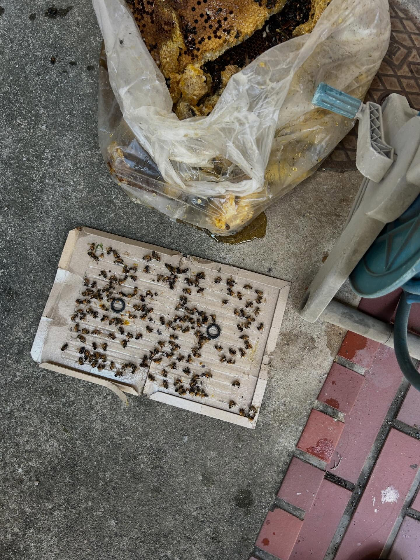 夏本番を迎える福岡市、糟屋郡、そして福岡県全域の皆様、安全で