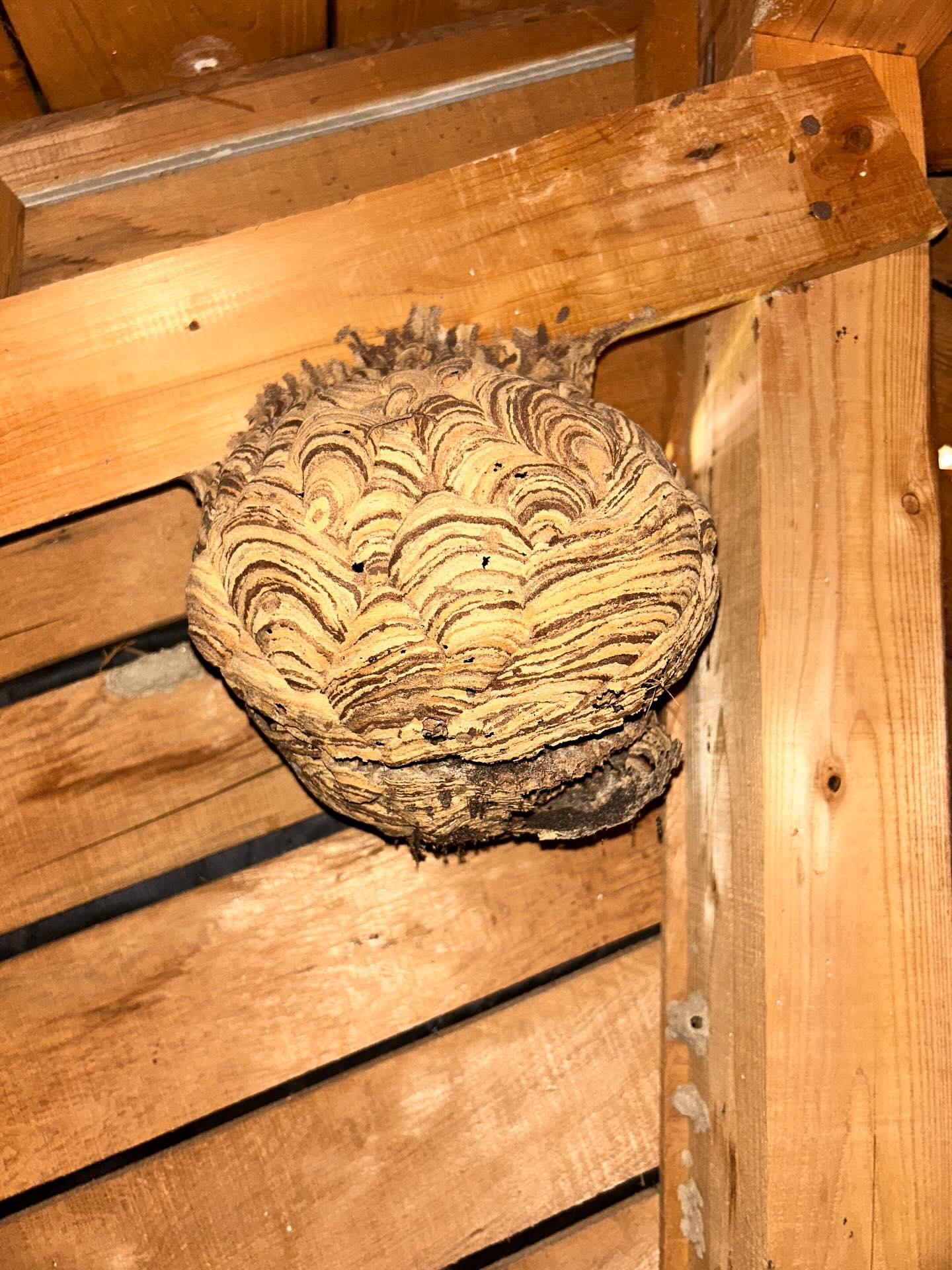 こんにちは！私たちのサービスをご紹介します