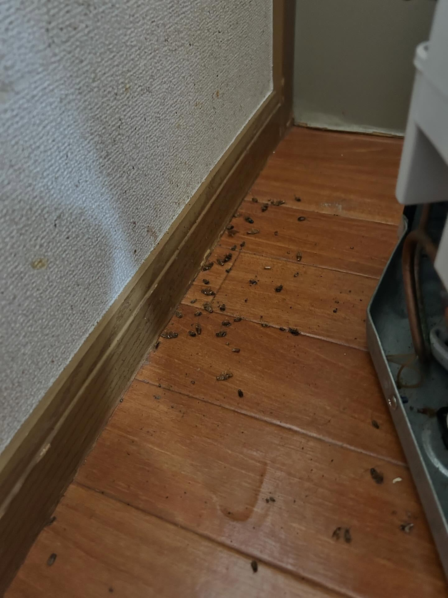 福岡市および糟屋郡にお住まいの皆様、安心できる衛生的な環境作