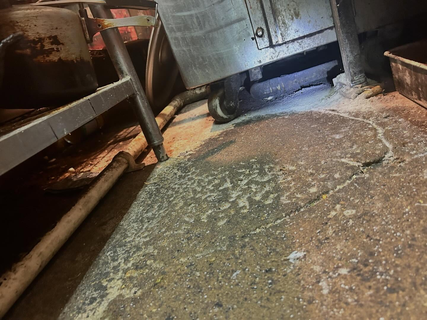 福岡市および糟屋郡で害虫・害獣駆除サービスをお探しの方へ、お