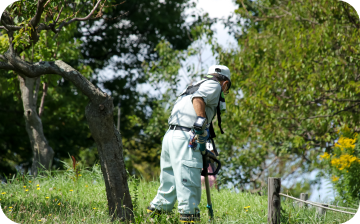 草刈り・剪定