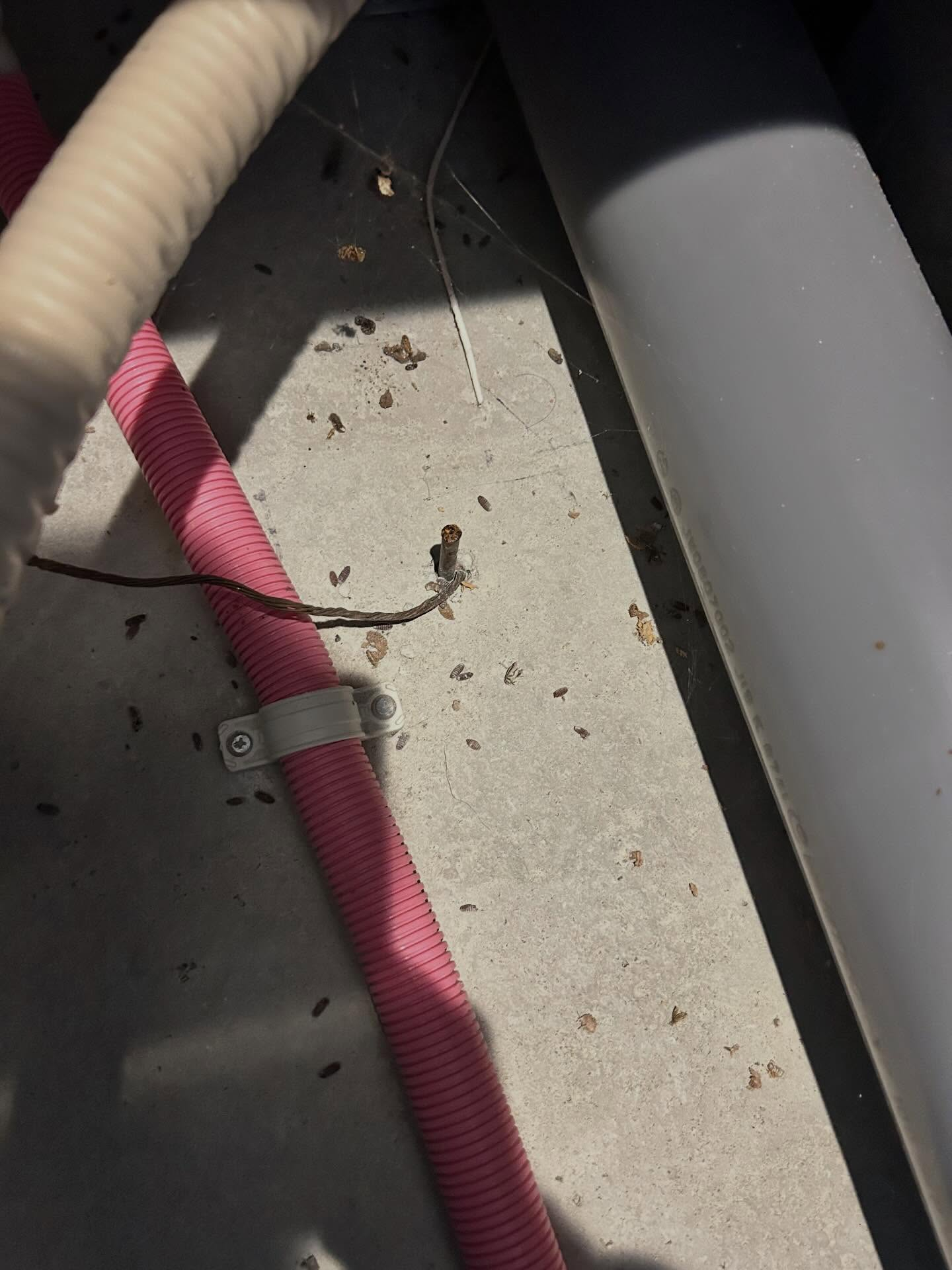 お住まいの環境を守るため、安心して暮らせる空間づくりをサポー