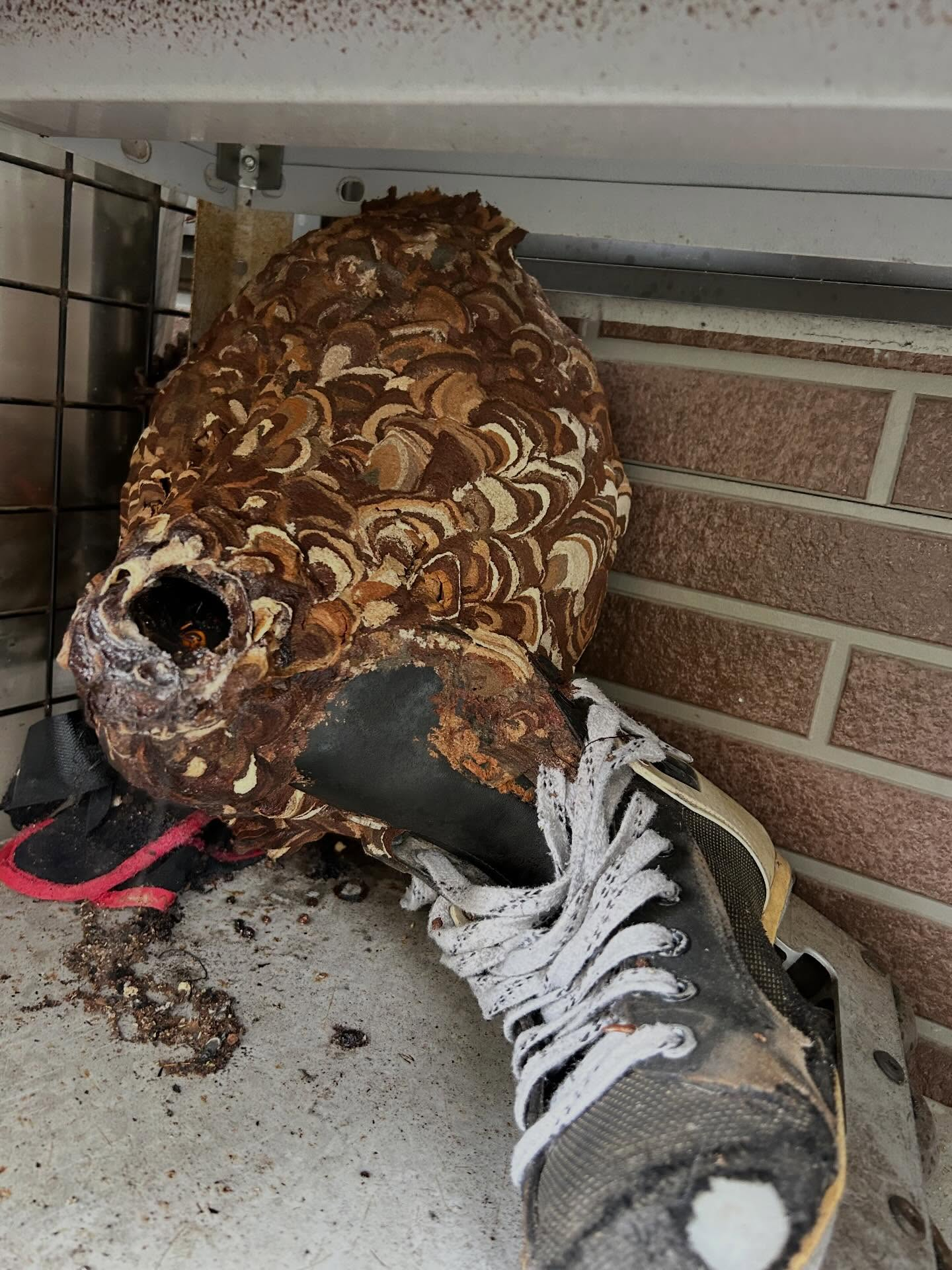 もうすぐ春の訪れですね