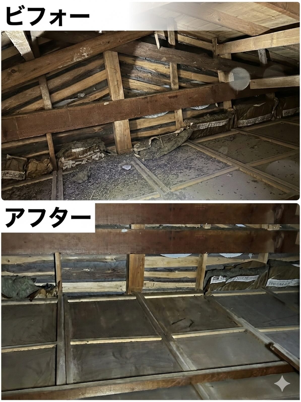 不意に出会う害虫や害獣
