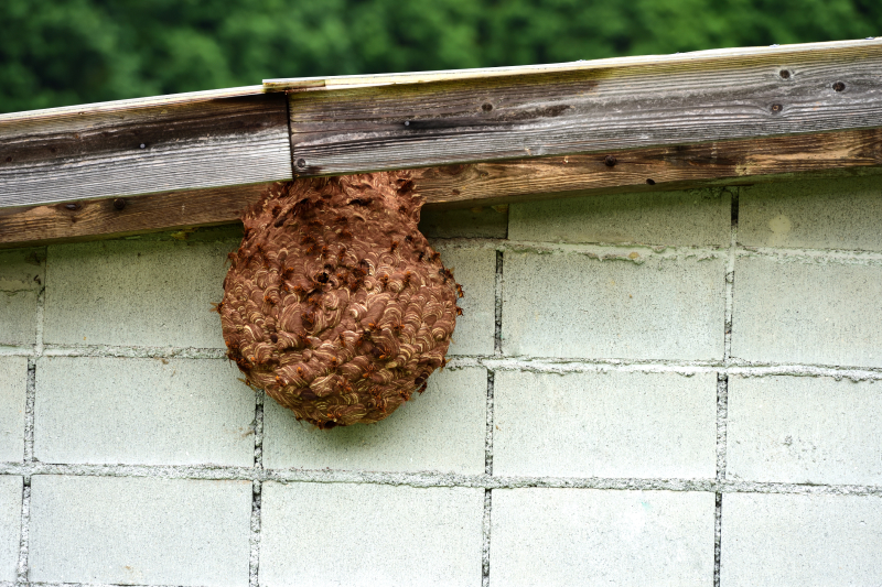 見つけたら、すぐご相談を