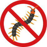 ムカデ（百足）