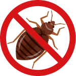 トコジラミ（南京虫）