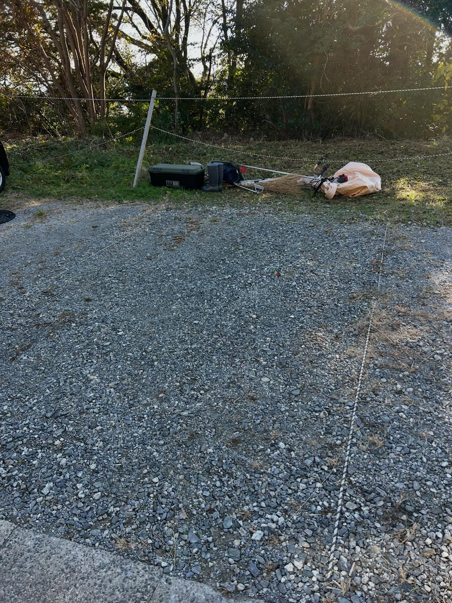 管理会社に伐採や草刈の依頼をする際は、正確で具体的な情報を伝