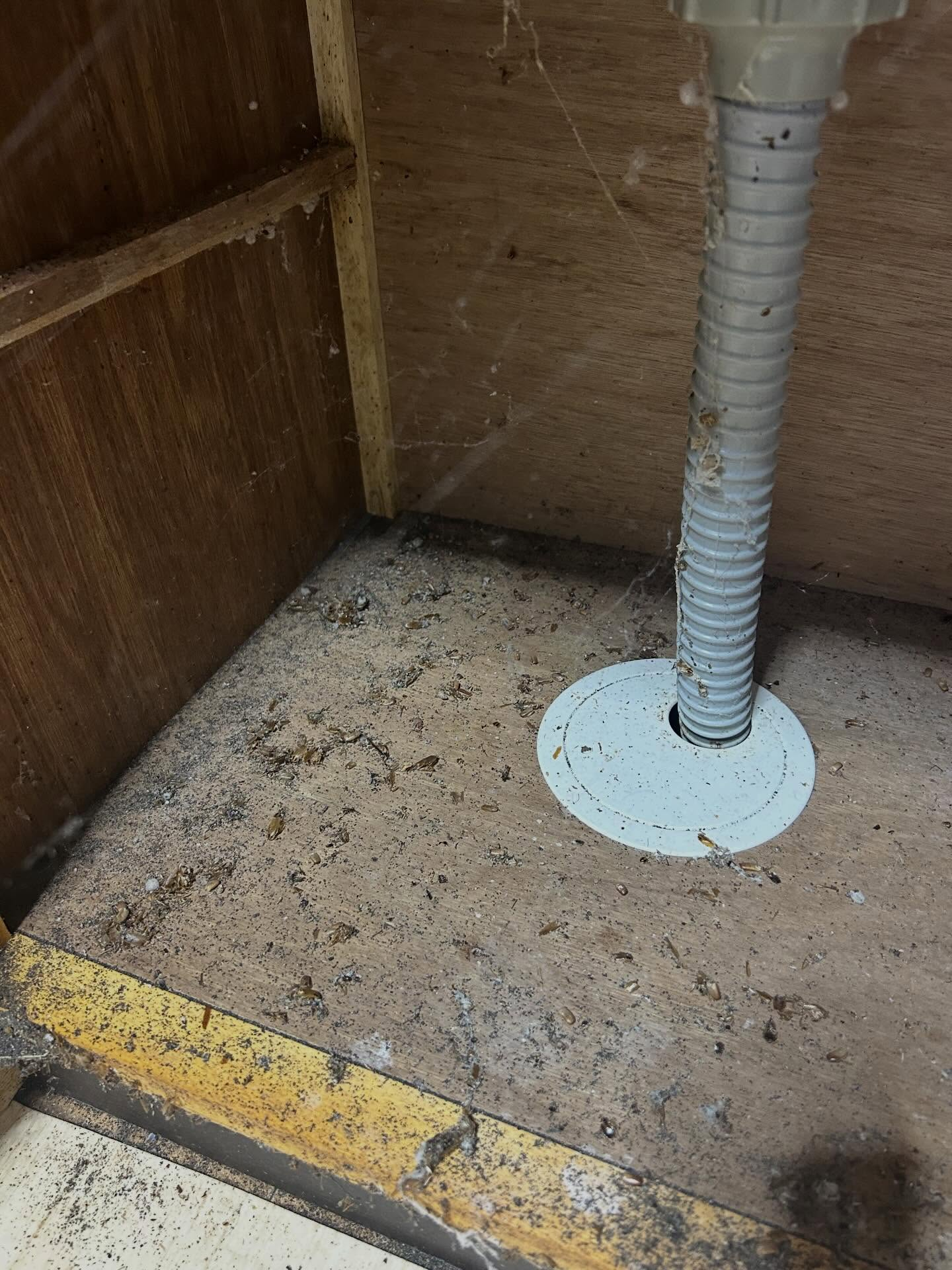 春から夏にかけて気温が上昇すると、特に不快に感じられるあの存