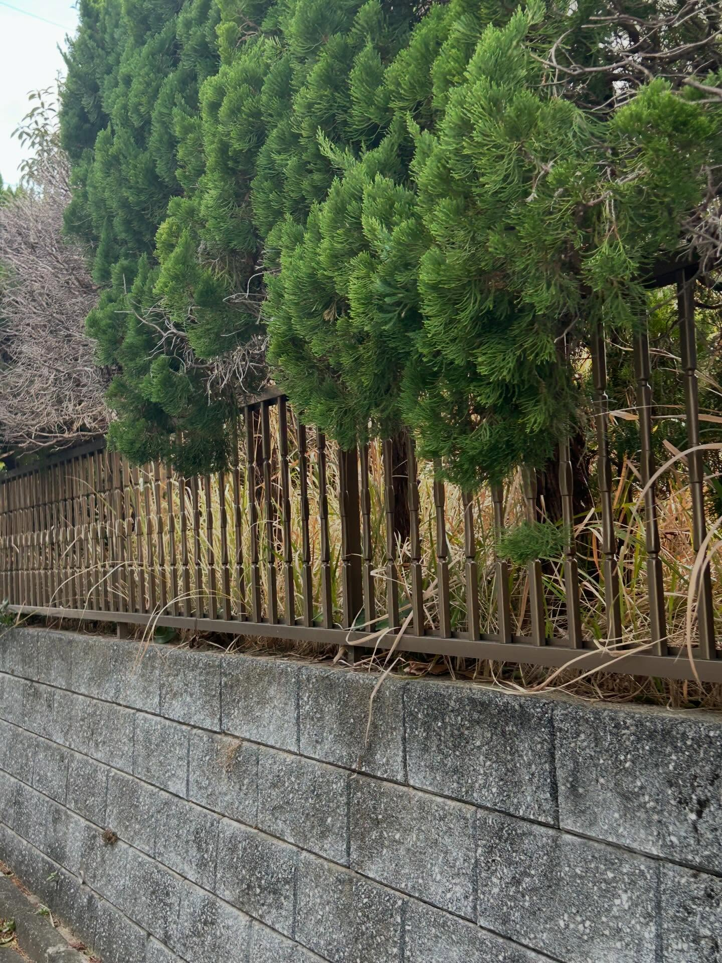 近年、人口減少や都市部への移住の影響により、地方では空き家の